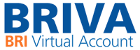 BRI Logo