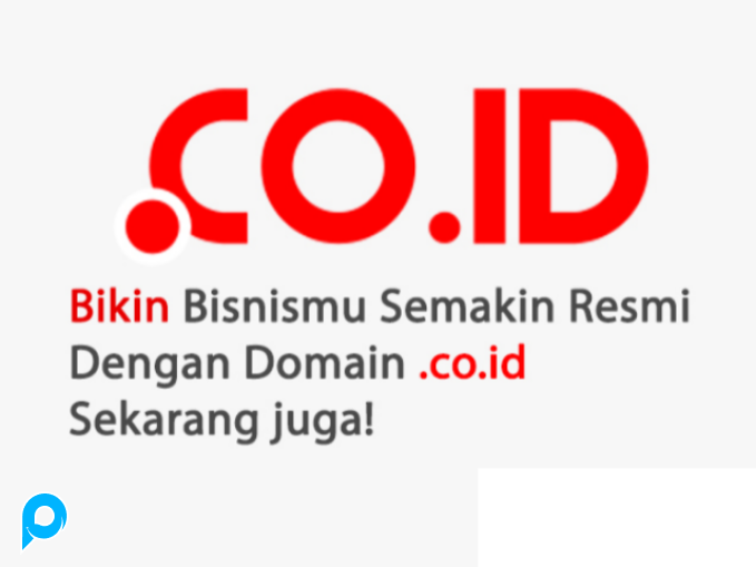 Jual Jasa Registrasi Domain .CO.ID Murah - P-Store.Net